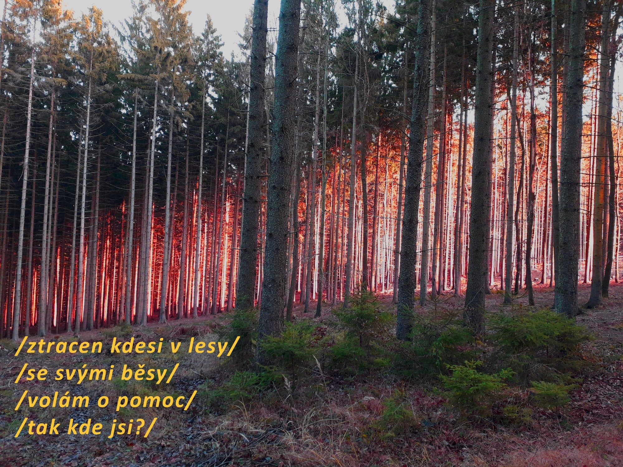 Běsy